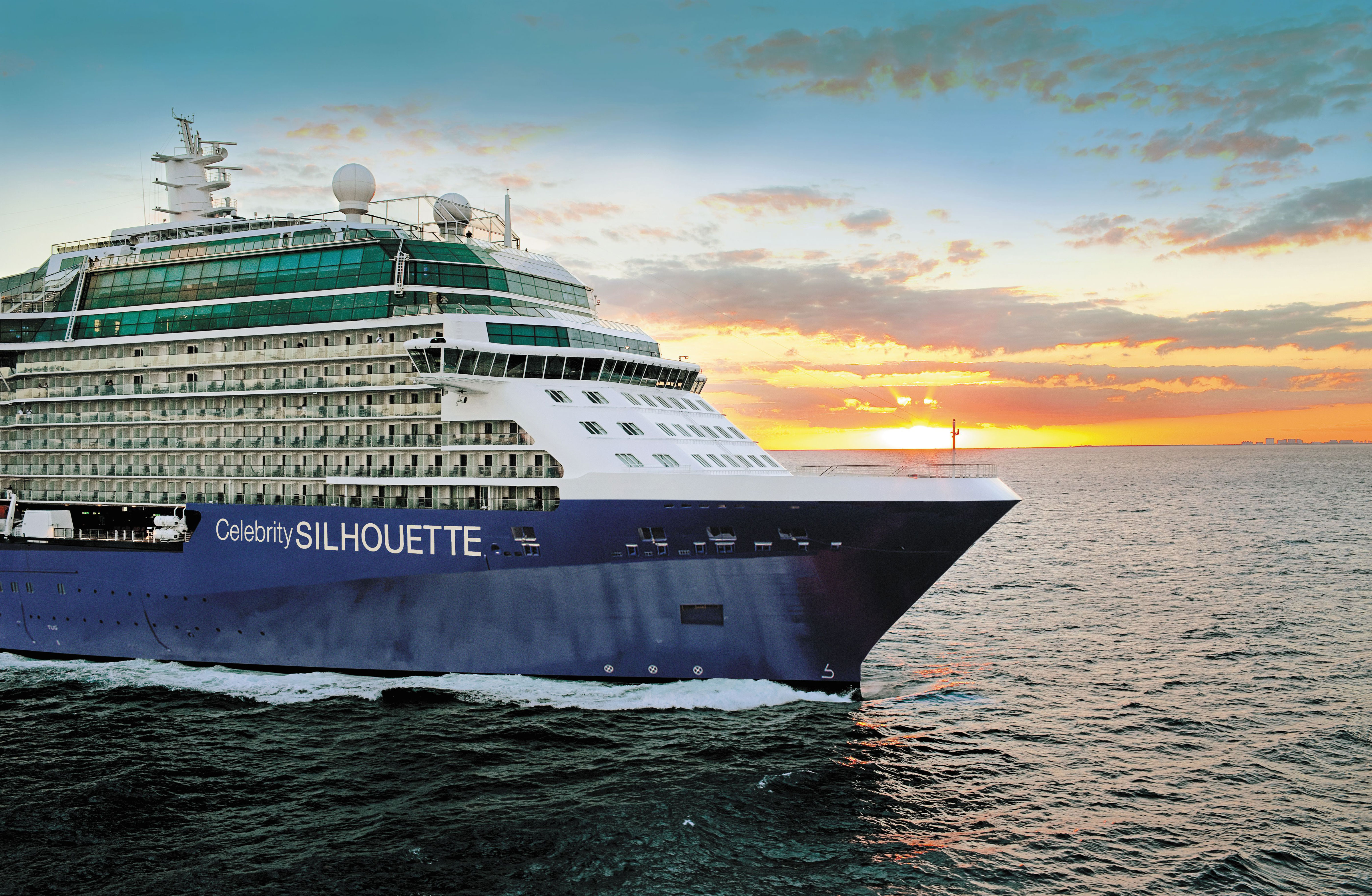 Celebrity Silhouette 3