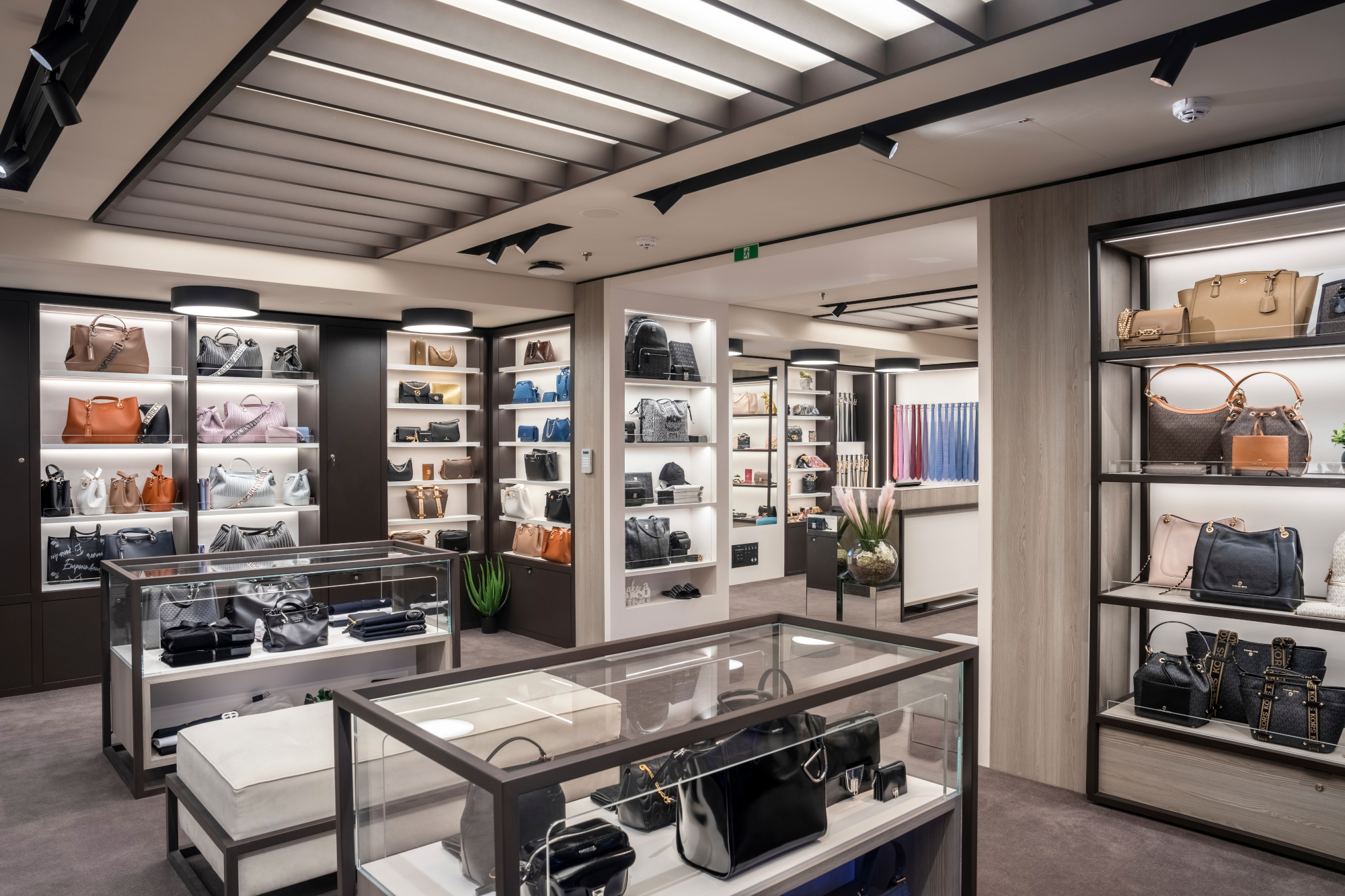 MSC World America 52