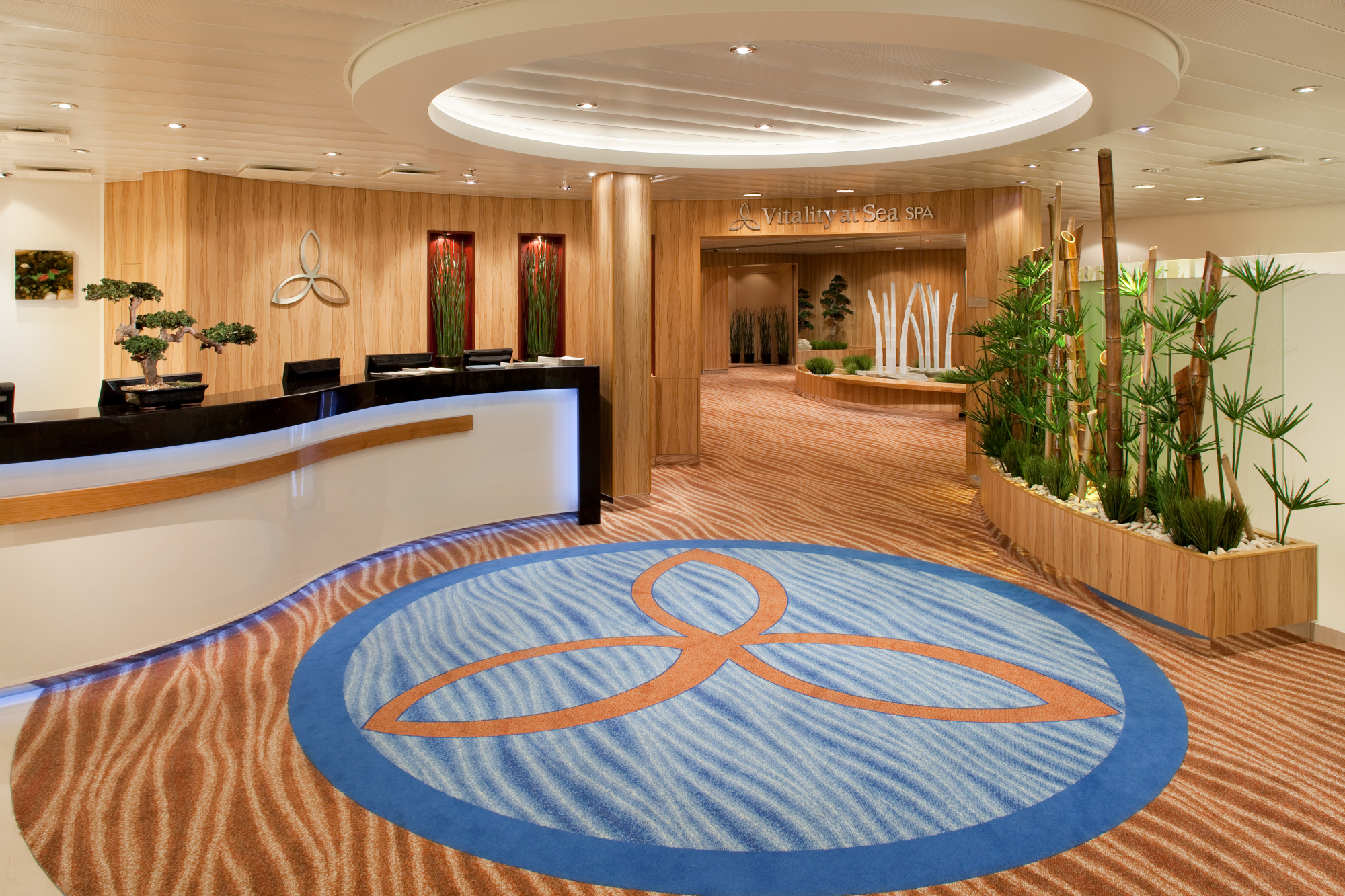 Allure of the Seas 9