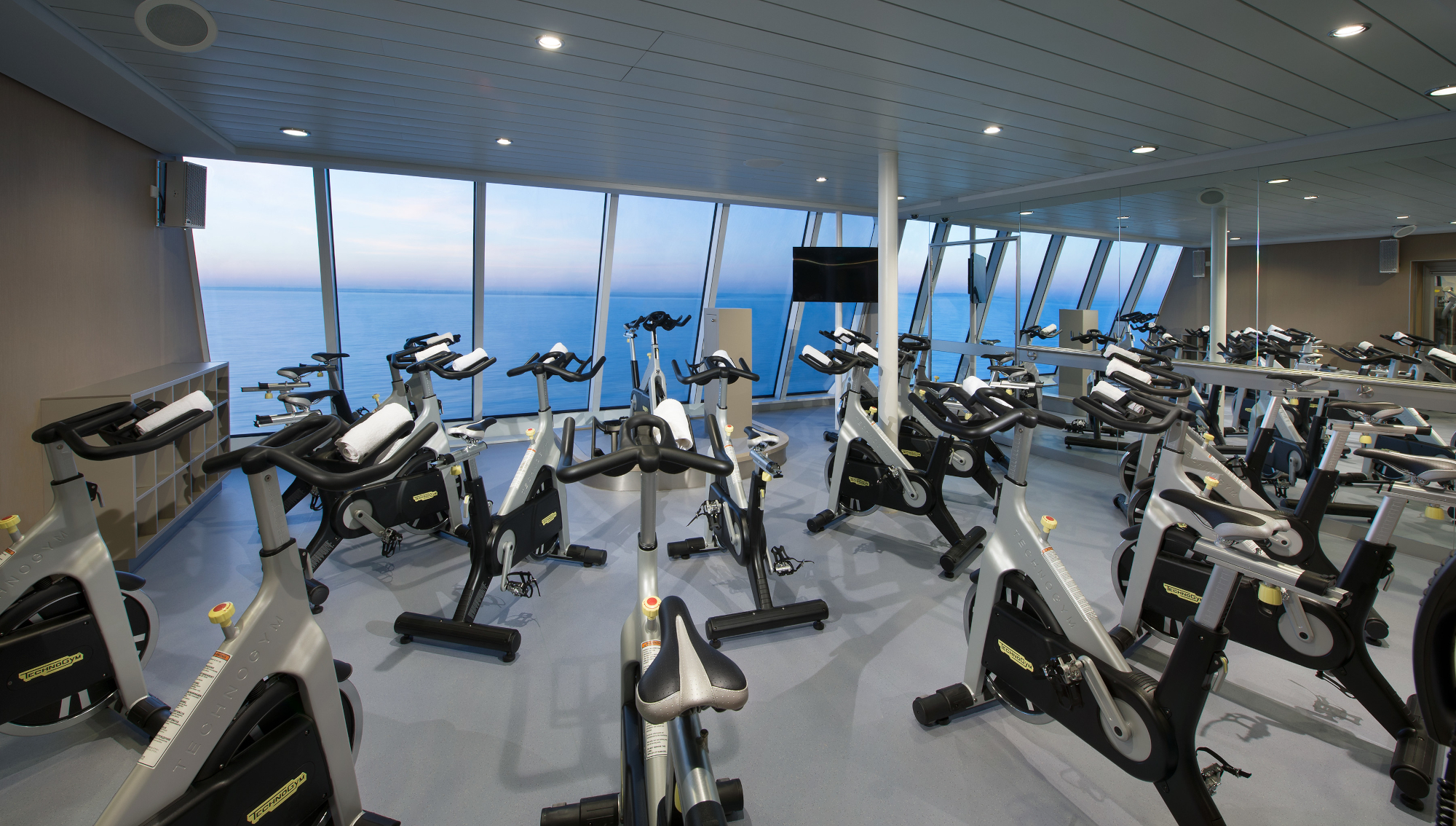 Anthem of the Seas 17