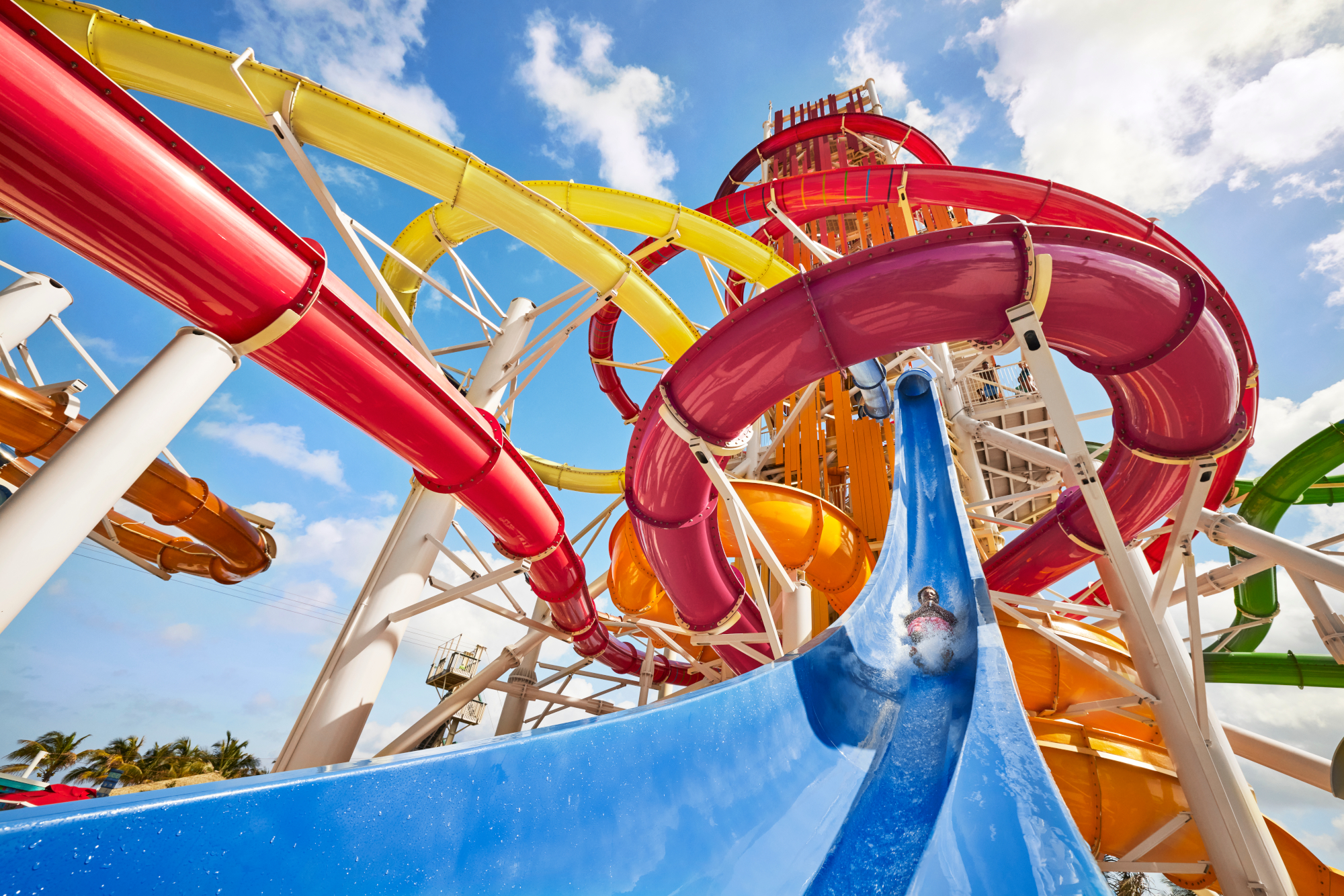 Utopia of the Seas 6