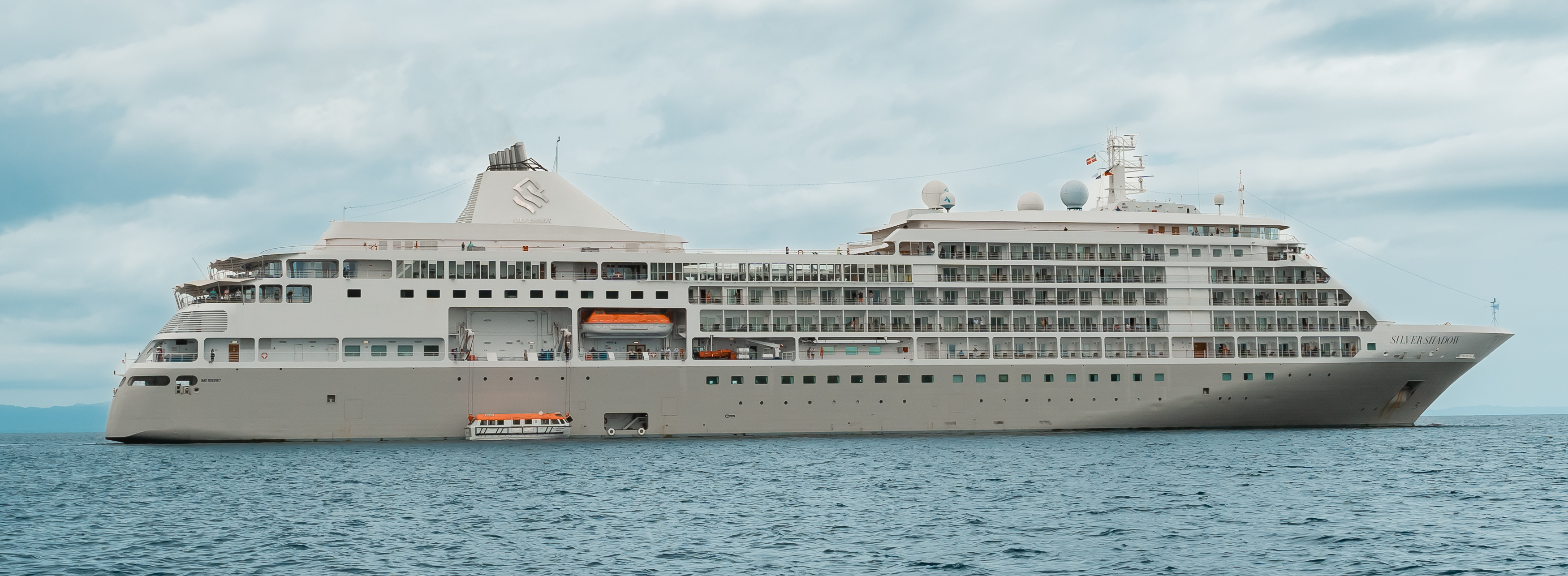 Silver Shadow 1