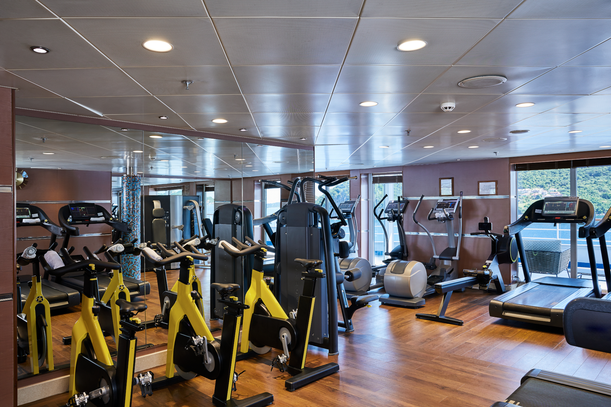 Silver Whisper 25