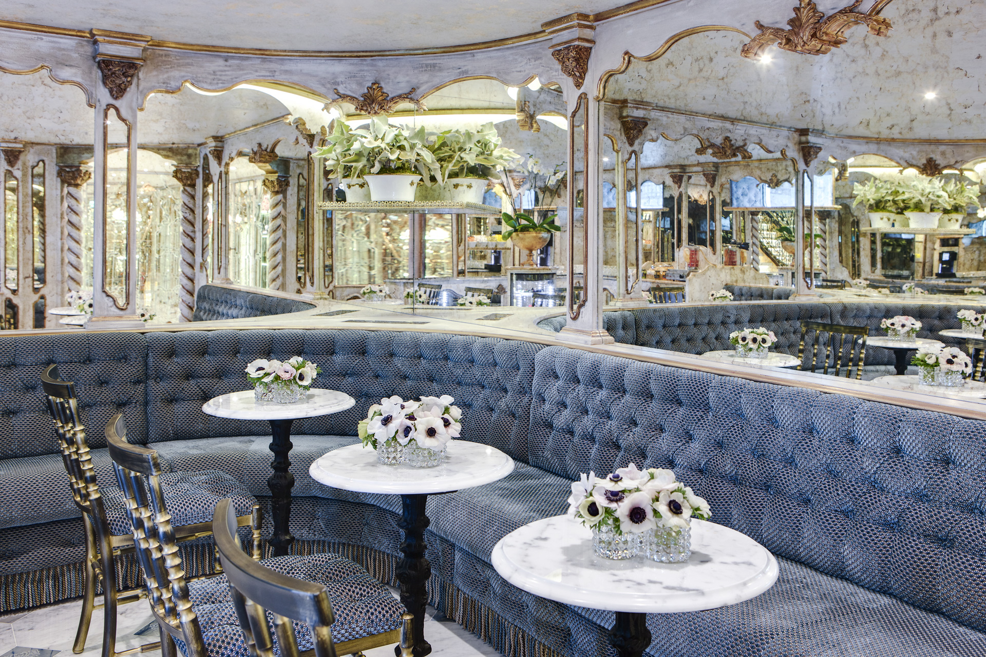 S.S. Maria Theresa 9